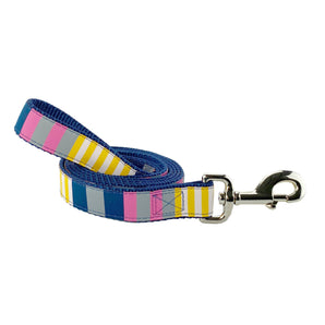 Dog Leash - Sunshine Stripe