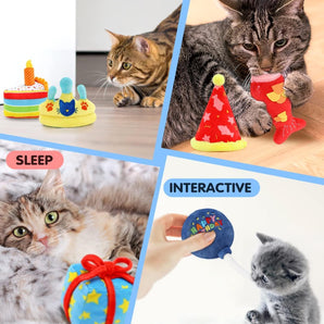 6Pcs Birthday Themed Cat Toys