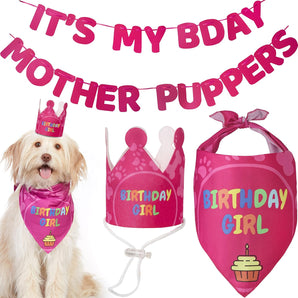 Dog Birthday Bandana Set - Girl