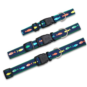 Funky Fish - Dog Collar