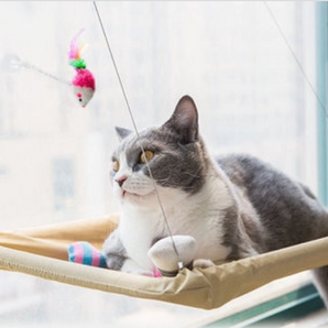 Cat Window Bed