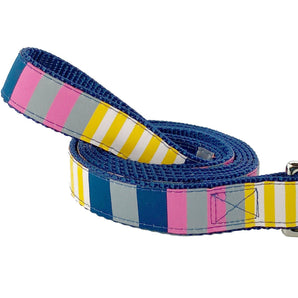 Dog Leash - Sunshine Stripe